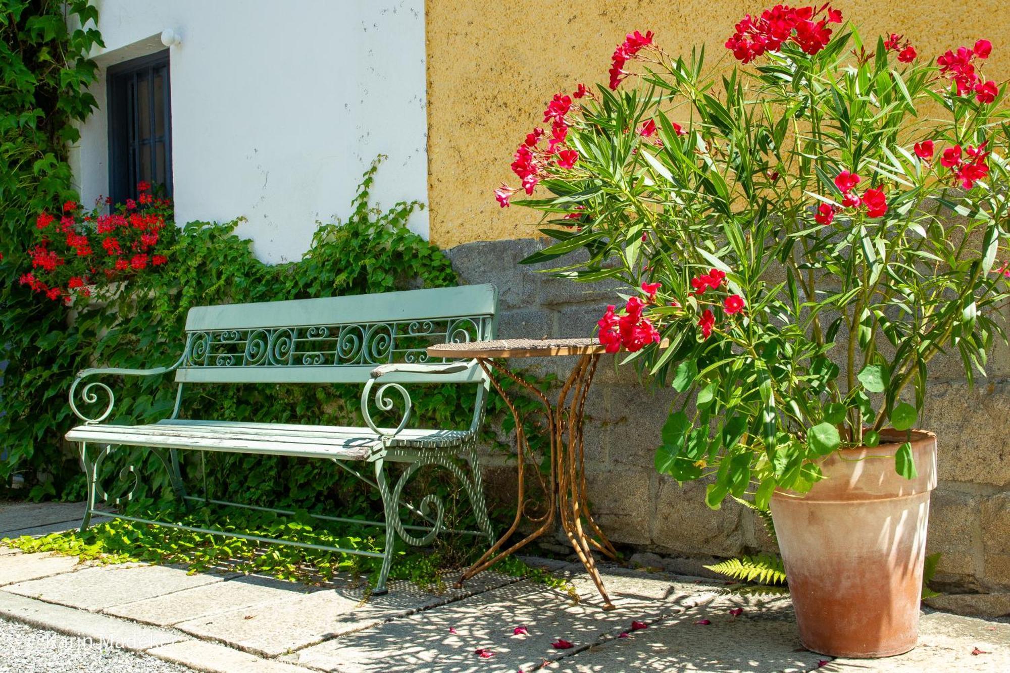 Design Ferienwohnung Mit Bauerngarten Waldkirchen Exterior photo